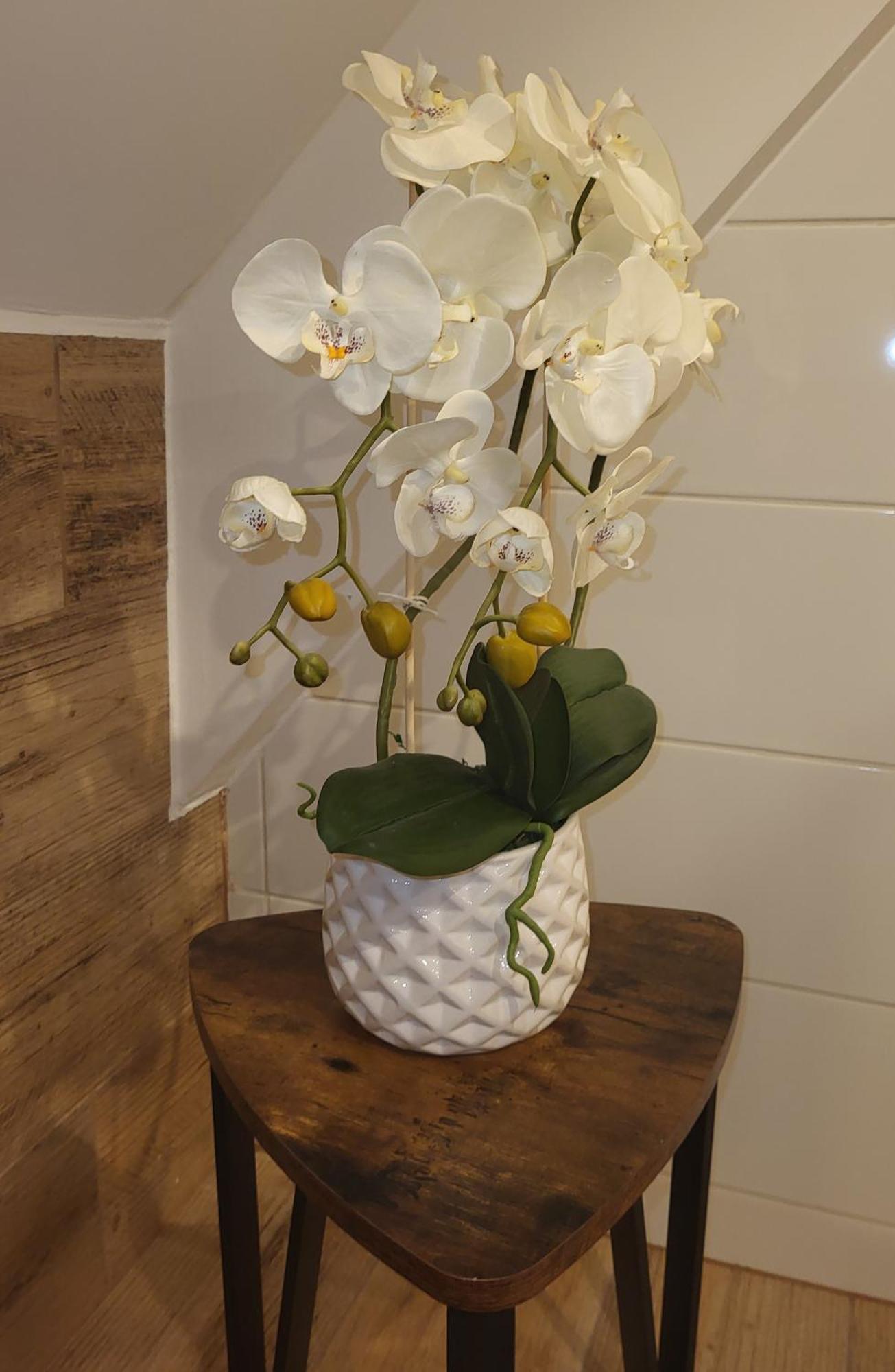 Apartamenty Gusto Ostróda Exteriör bild